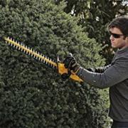 Акумуляторний кущоріз DeWALT DCM563P1-QW